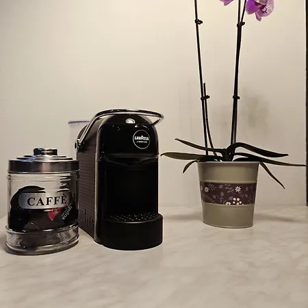 Ca Bizantina Appartement